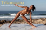 Trikonasana. Triangle Pose. Yogini. Greek goddess, classical artistic yoga on wet marble 30s